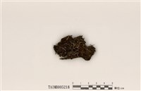 藏品(紅頭石蕊)的圖片